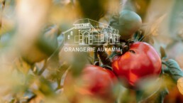 Referenz Website Orangerie Aukamm