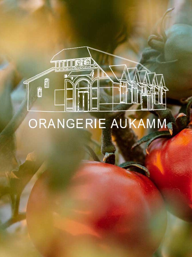 Referenz Website Orangerie Aukamm
